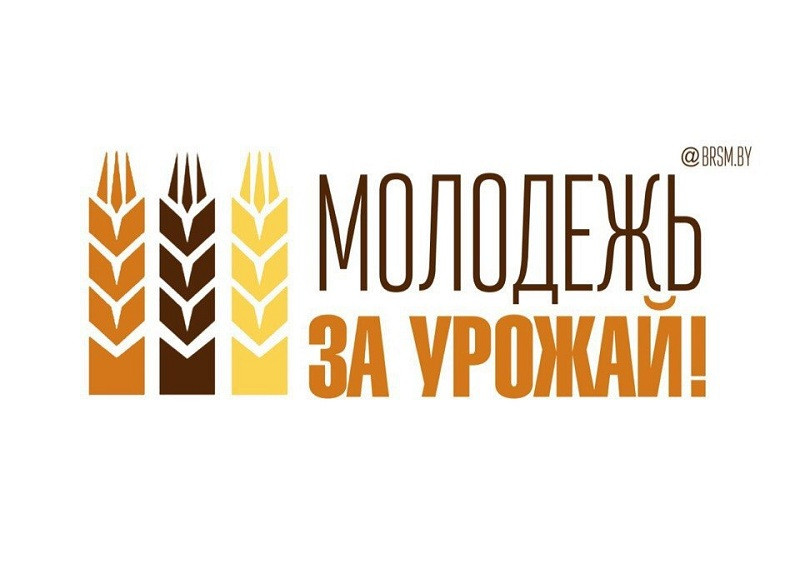 Два молодых водителя-тысячника определились на уборке урожая в Минской и Брестской областях