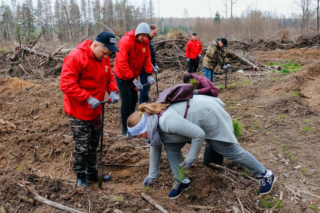 Лукьянов: акция "Неделя леса" - созидательная Лукьянов: акция "Неделя леса" - созидательная