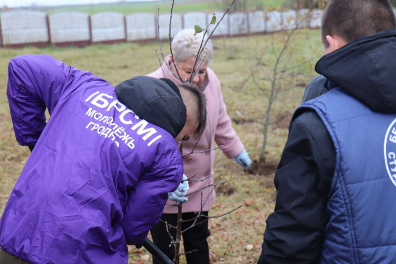 В рамках благотворительной акции «Мы выбираем помощь пожилым» Гродненский областной комитет БРСМ реализовал добрую инициативу